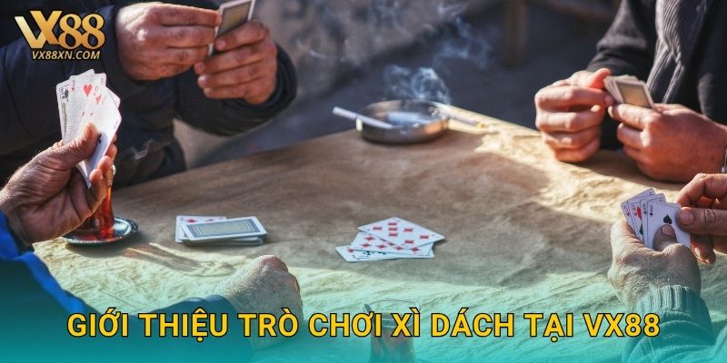 Xì Dách kịch tính – Đấu trí cùng dealer tại Vx88 2 Giới thiệu trò chơi Xì Dách tại Vx88