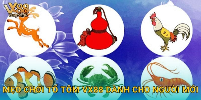 Tổ Tôm dân gian – Đấu trí nghệ thuật tại Vx88 3 Mẹo chơi Tổ Tôm Vx88 dành cho người mới